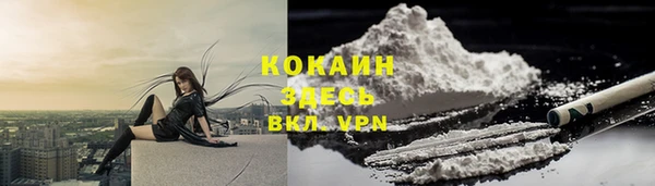прущие крисы Алзамай